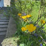 Der Am Sonnenplateu - Und Bergblick * دوبرياخ
