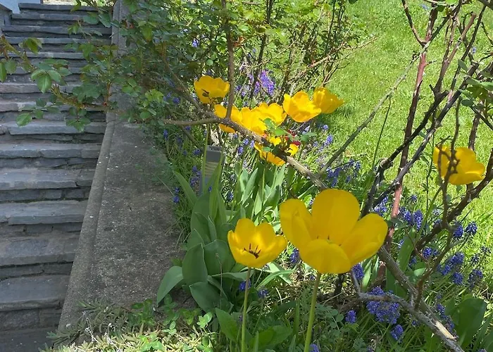 Der Am Sonnenplateu * Dobriach